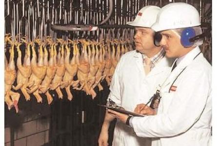 Webinar: TTIP webinar series: Trade rules for poultry and pork: safe for whom? 